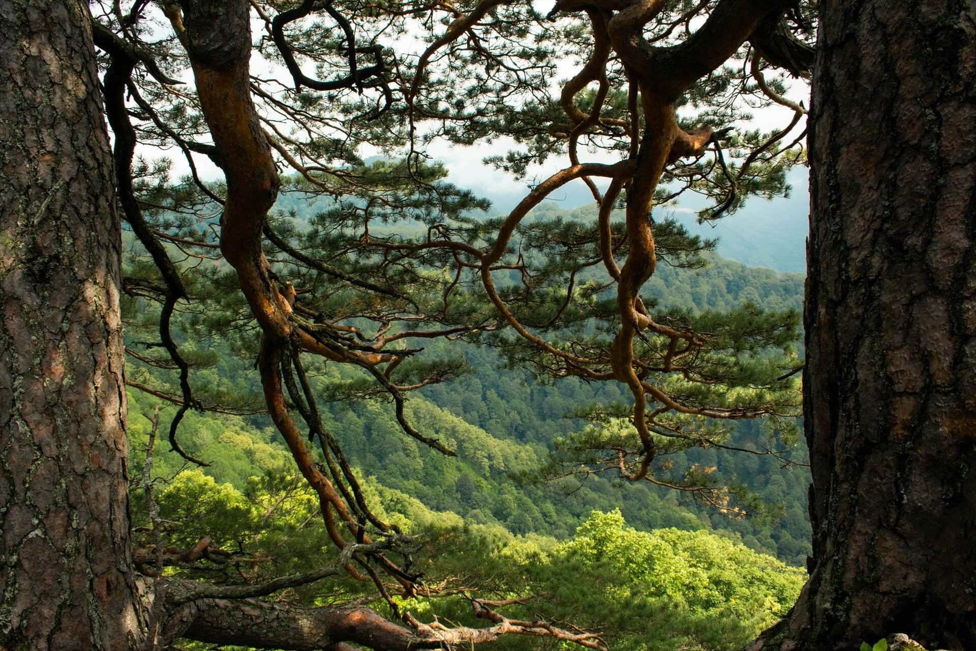 Источник: Unsplash