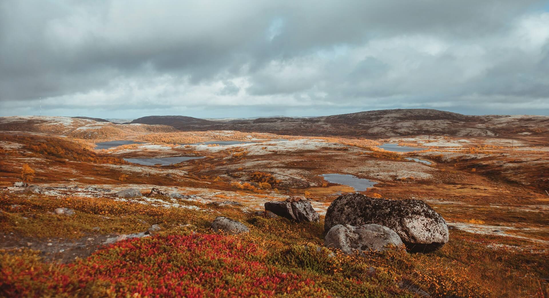 Источник: Unsplash