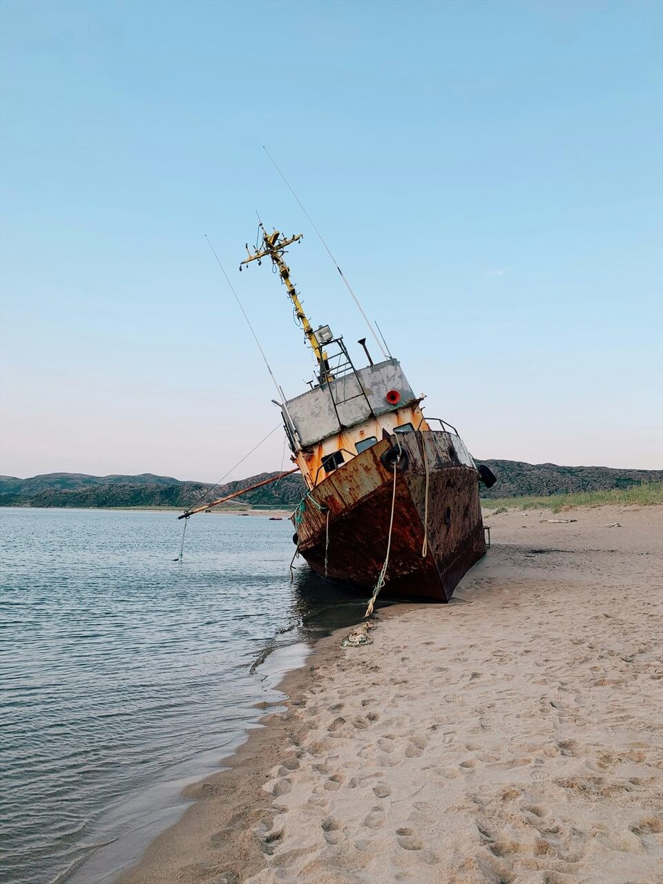 Источник: Unsplash