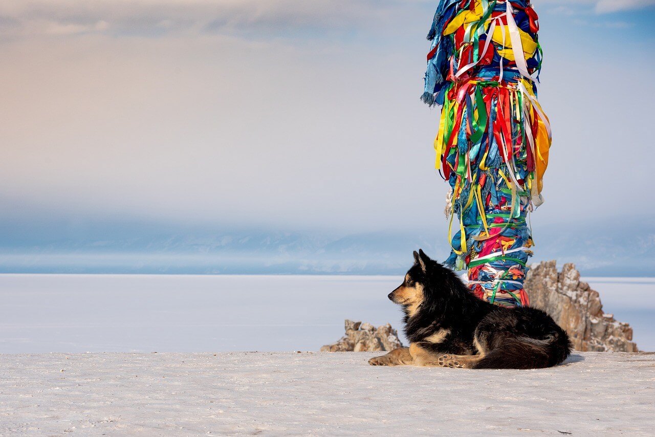 Источник: Pixabay