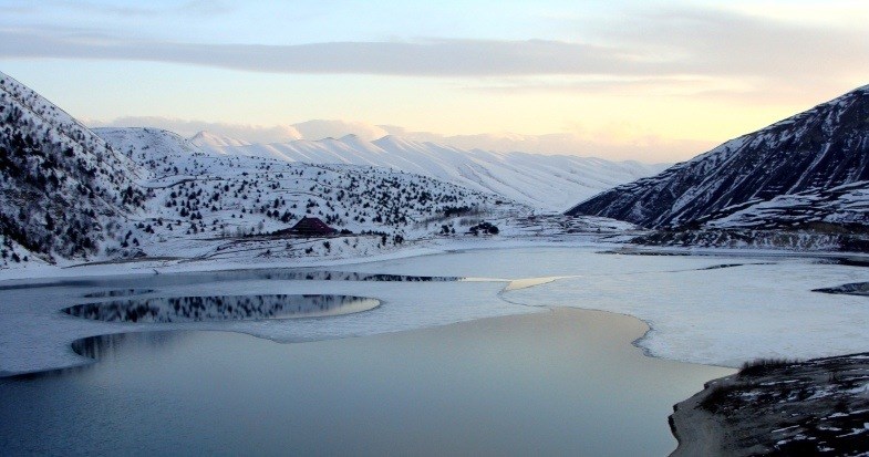 Фото: Ras.sham, CC BY-SA 3.0 https://creativecommons.org/licenses/by-sa/3.0, через Викисклад