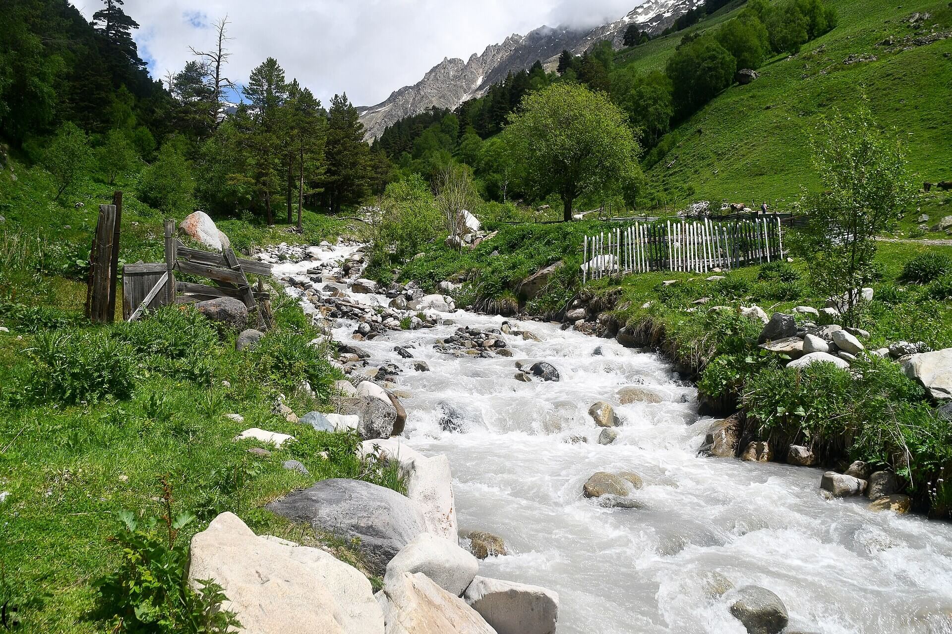 Фото: 	Lzxl, CC0 1.0 https://creativecommons.org/publicdomain/zero/1.0/, via Wikimedia Commons