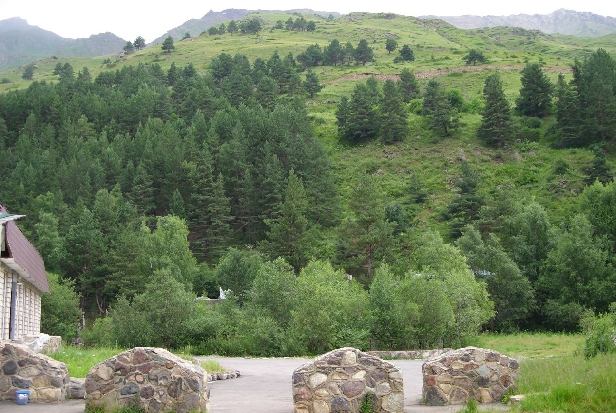 Фото: LxAndrew, CC BY-SA 4.0 https://creativecommons.org/licenses/by-sa/4.0, via Wikimedia Commons (изменено)