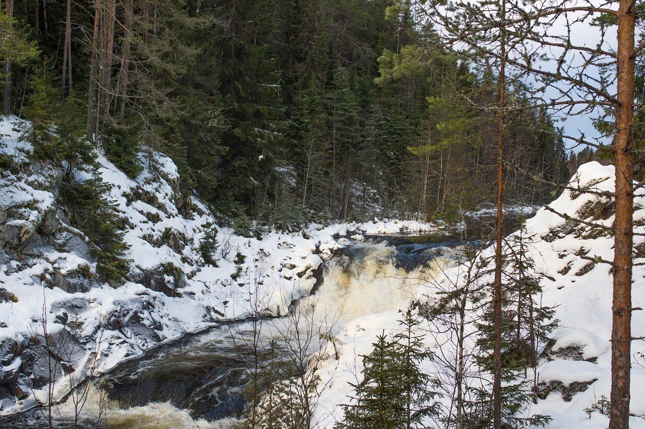 Источник: Pixabay