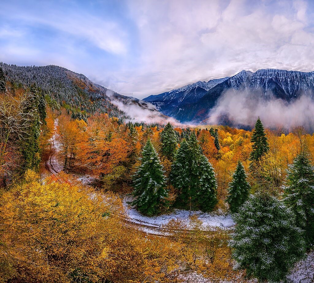 Фото: Лашков Фёдор, CC BY-SA 4.0 https://creativecommons.org/licenses/by-sa/4.0, через Викисклад