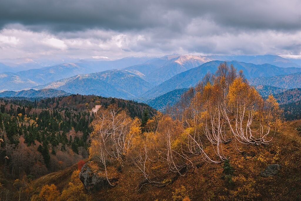 Фото: Шишкалов Константин, CC BY-SA 4.0 https://creativecommons.org/licenses/by-sa/4.0, via Wikimedia Commons