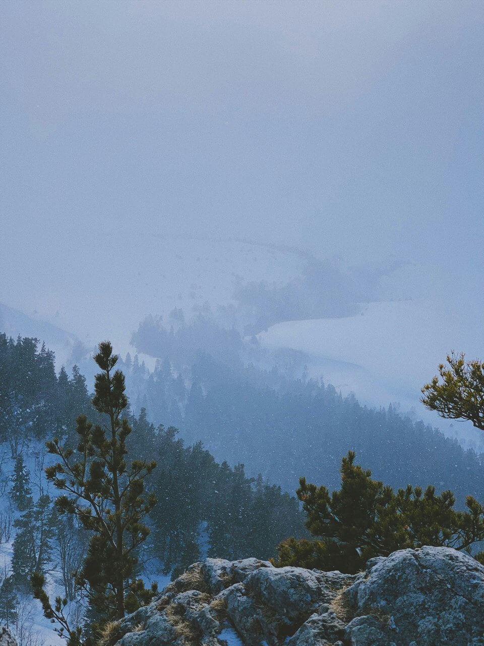 Источник: Unsplash