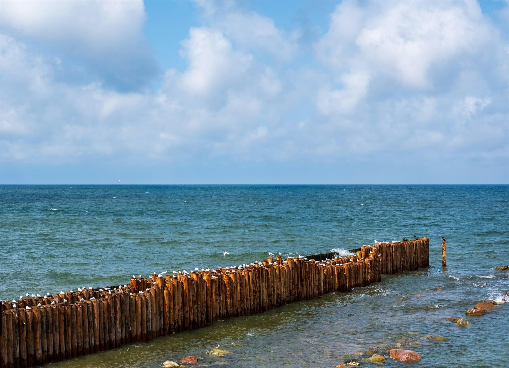 Источник: Unsplash