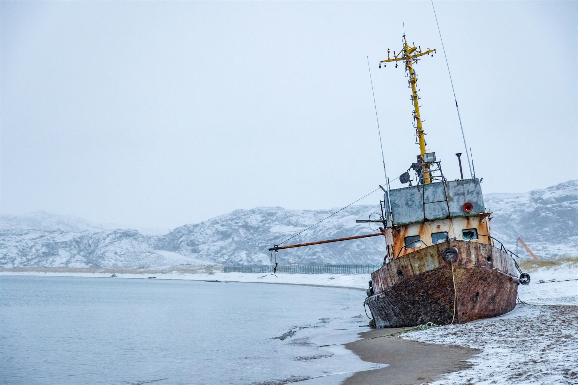 Источник: Unsplash
