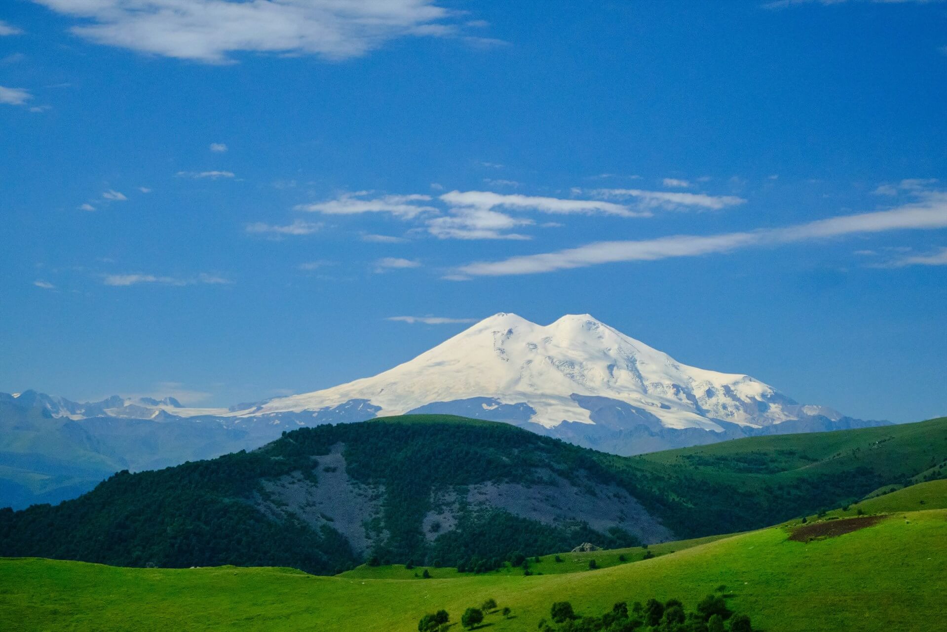 Источник: Unsplash