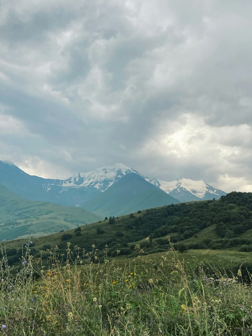 Источник: Unsplash            