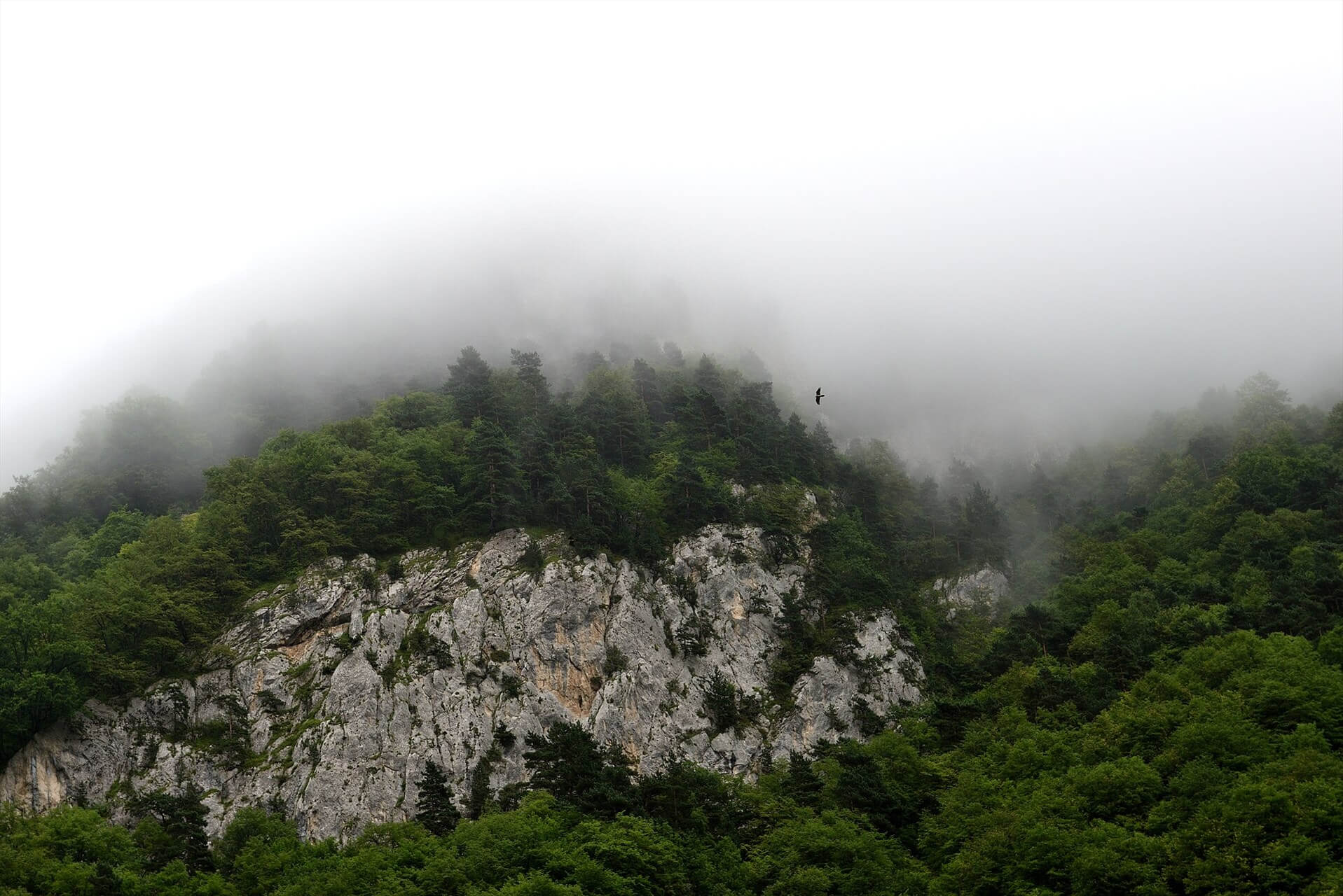 Фото: Hamerani, CC BY-SA 4.0 https://creativecommons.org/licenses/by-sa/4.0, via Wikimedia Commons