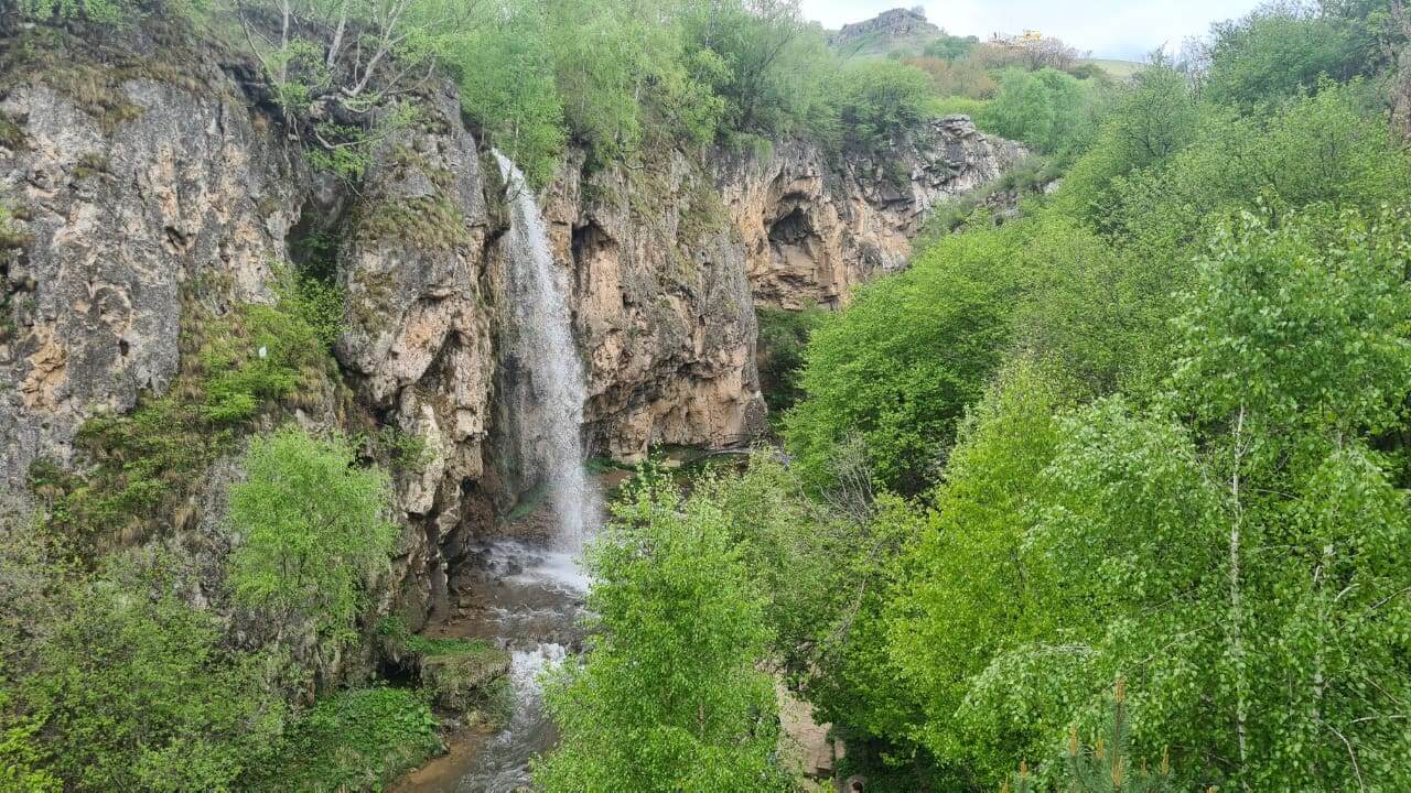 Фото: от партнёра.