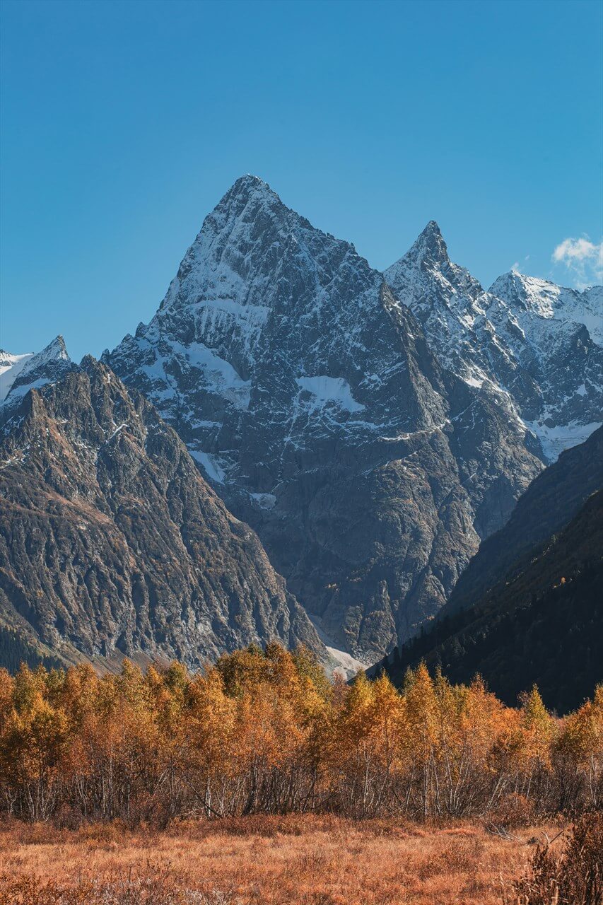 Источник: Unsplash